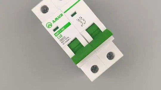 Amur Mini Circuit Breaker Overload Protection 1p Electric MCB AC 230V 