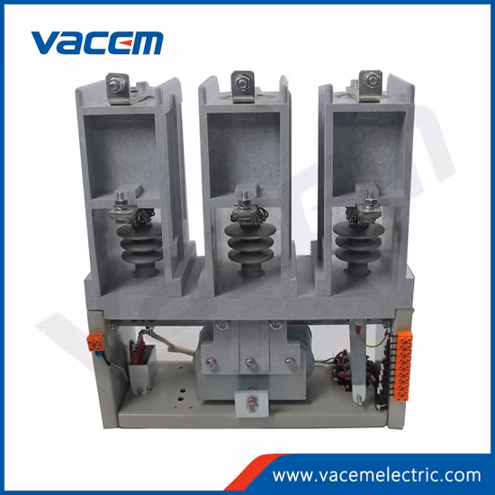 6kv Medium Voltage Vacuum Contactor for Motor Starter